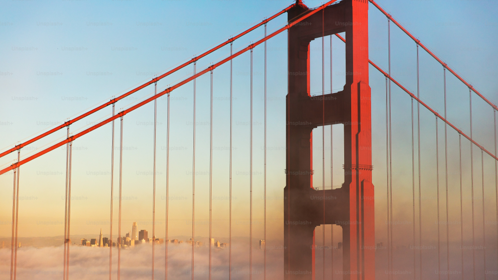 Сalifornia Consumer Privacy Act (ССPA) Does This Apply to Your IT Business in 2025?